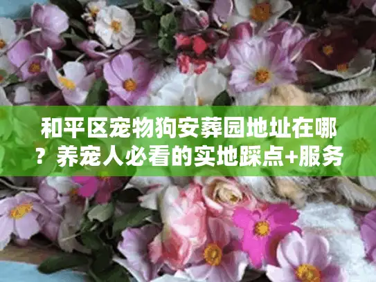 和平区宠物狗安葬园地址在哪？养宠人必看的实地踩点+服务避坑指南