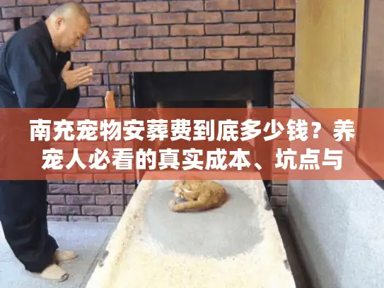 南充宠物安葬费到底多少钱？养宠人必看的真实成本、坑点与体面选择