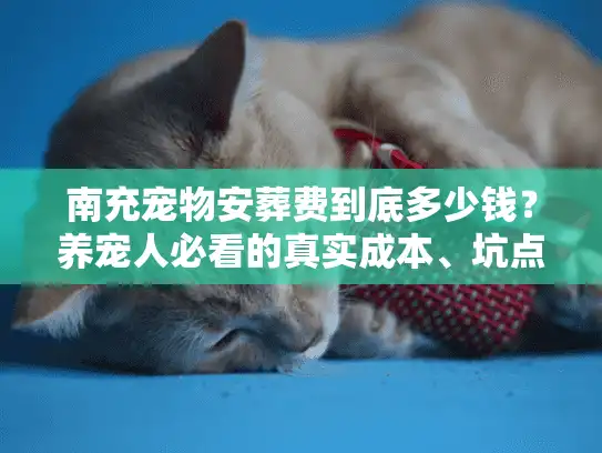 南充宠物安葬费到底多少钱？养宠人必看的真实成本、坑点与体面选择