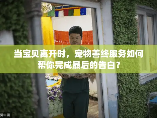 当宝贝离开时，宠物善终服务如何帮你完成最后的告白？