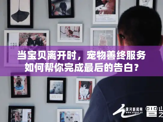 当宝贝离开时，宠物善终服务如何帮你完成最后的告白？