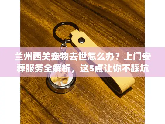 兰州西关宠物去世怎么办？上门安葬服务全解析，这5点让你不踩坑