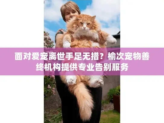 面对爱宠离世手足无措？榆次宠物善终机构提供专业告别服务