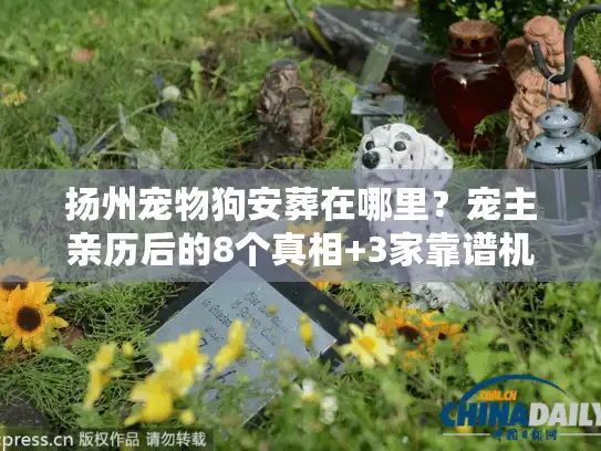 扬州宠物狗安葬在哪里？宠主亲历后的8个真相+3家靠谱机构全解析