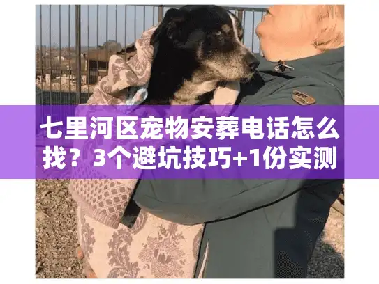 七里河区宠物安葬电话怎么找？3个避坑技巧+1份实测靠谱清单