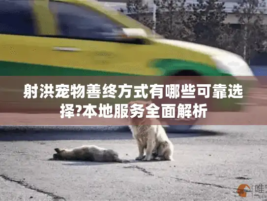 射洪宠物善终方式有哪些可靠选择?本地服务全面解析