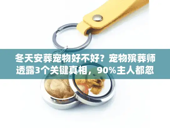 冬天安葬宠物好不好？宠物殡葬师透露3个关键真相，90%主人都忽略了