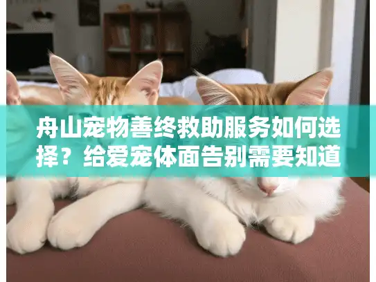 舟山宠物善终救助服务如何选择？给爱宠体面告别需要知道的事