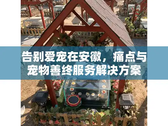 告别爱宠在安徽，痛点与宠物善终服务解决方案