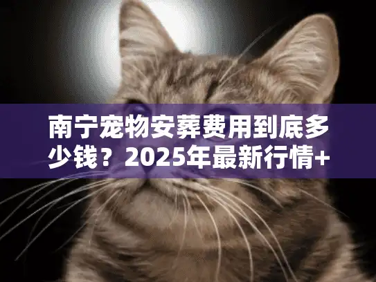 南宁宠物安葬费用到底多少钱？2025年最新行情+避坑指南