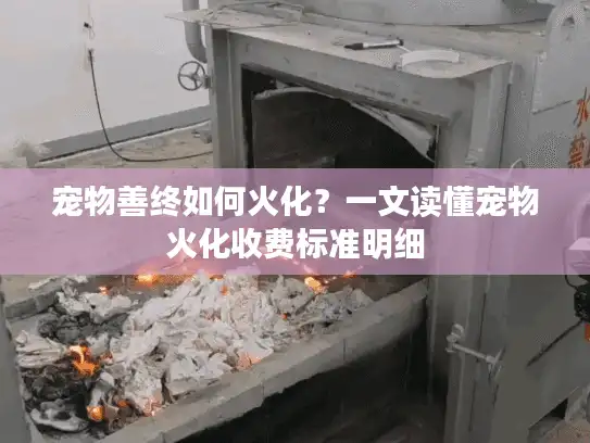 宠物善终如何火化？一文读懂宠物火化收费标准明细