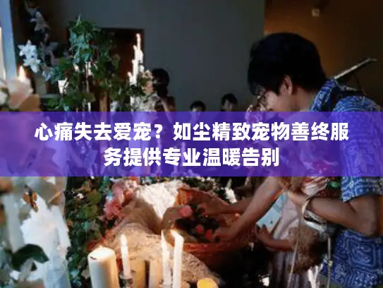 心痛失去爱宠？如尘精致宠物善终服务提供专业温暖告别