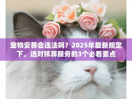 宠物安葬会违法吗？2025年最新规定下，选对殡葬服务的3个必看要点