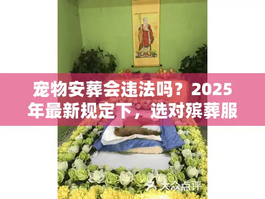 宠物安葬会违法吗？2025年最新规定下，选对殡葬服务的3个必看要点