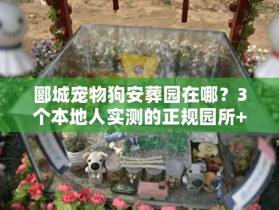 郾城宠物狗安葬园在哪？3个本地人实测的正规园所+避坑指南