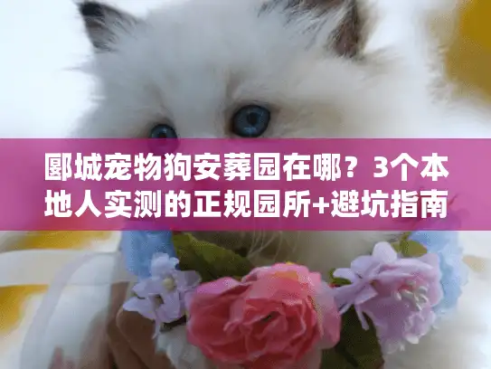 郾城宠物狗安葬园在哪？3个本地人实测的正规园所+避坑指南