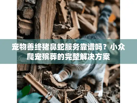 宠物善终猪鼻蛇服务靠谱吗？小众爬宠殡葬的完整解决方案