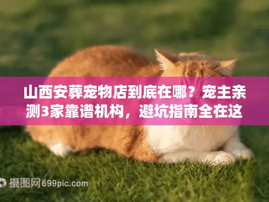山西安葬宠物店到底在哪？宠主亲测3家靠谱机构，避坑指南全在这