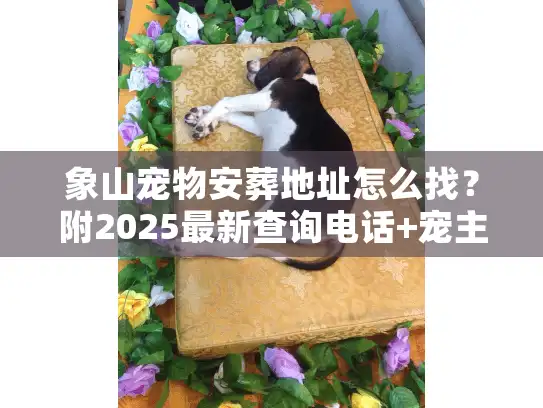 象山宠物安葬地址怎么找？附2025最新查询电话+宠主亲测避坑指南