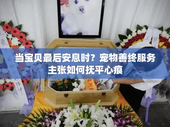 当宝贝最后安息时？宠物善终服务主张如何抚平心痕