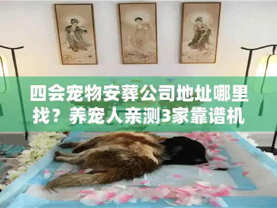 四会宠物安葬公司地址哪里找？养宠人亲测3家靠谱机构+避坑指南