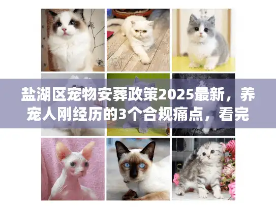 盐湖区宠物安葬政策2025最新，养宠人刚经历的3个合规痛点，看完少走弯路
