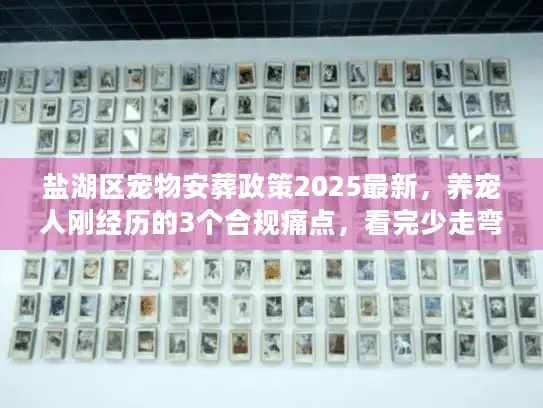 盐湖区宠物安葬政策2025最新，养宠人刚经历的3个合规痛点，看完少走弯路