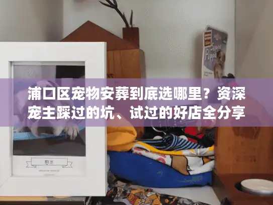 浦口区宠物安葬到底选哪里？资深宠主踩过的坑、试过的好店全分享