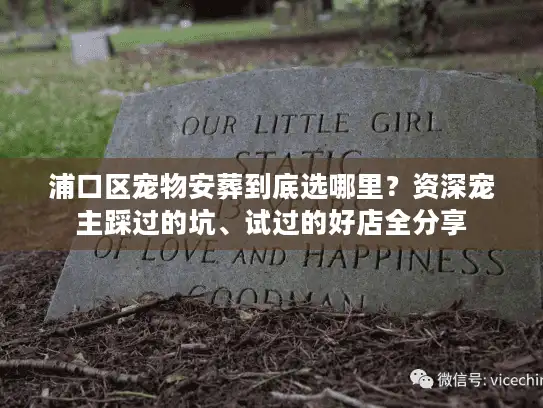 浦口区宠物安葬到底选哪里？资深宠主踩过的坑、试过的好店全分享