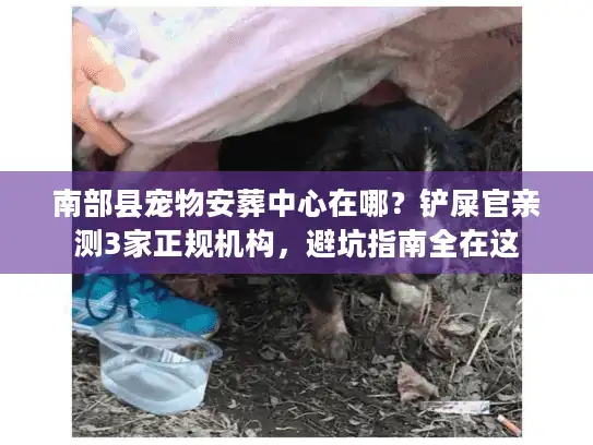 南部县宠物安葬中心在哪？铲屎官亲测3家正规机构，避坑指南全在这