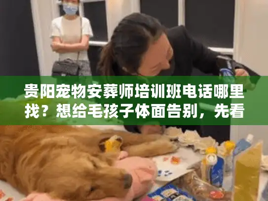 贵阳宠物安葬师培训班电话哪里找？想给毛孩子体面告别，先看这3个行业真相