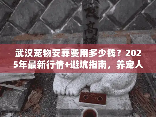 武汉宠物安葬费用多少钱？2025年最新行情+避坑指南，养宠人必看