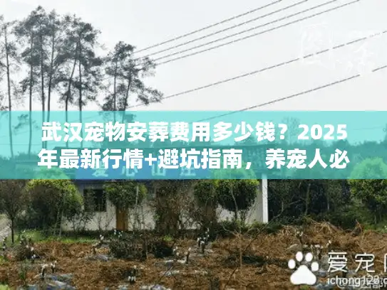 武汉宠物安葬费用多少钱？2025年最新行情+避坑指南，养宠人必看