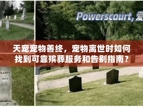 天宠宠物善终，宠物离世时如何找到可靠殡葬服务和告别指南？