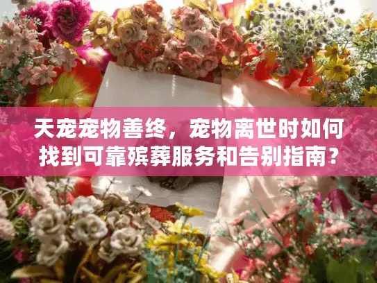 天宠宠物善终，宠物离世时如何找到可靠殡葬服务和告别指南？
