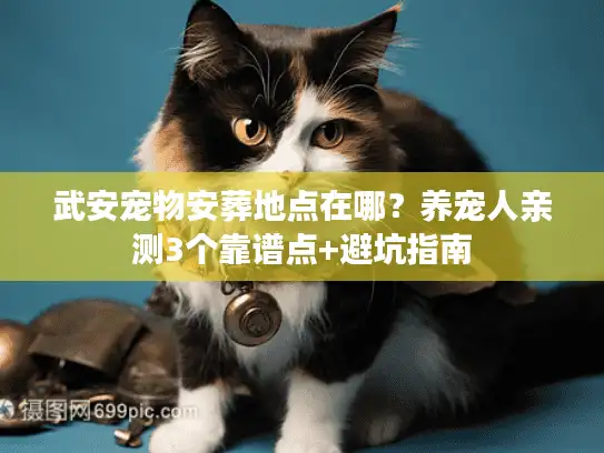 武安宠物安葬地点在哪？养宠人亲测3个靠谱点+避坑指南