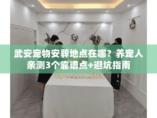 武安宠物安葬地点在哪？养宠人亲测3个靠谱点+避坑指南