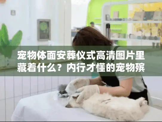 宠物体面安葬仪式高清图片里藏着什么？内行才懂的宠物殡葬服务门道