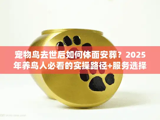 宠物鸟去世后如何体面安葬？2025年养鸟人必看的实操路径+服务选择攻略