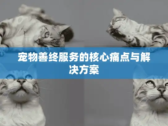 宠物善终服务的核心痛点与解决方案