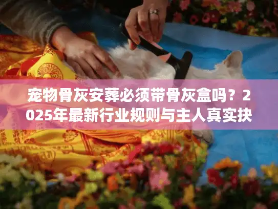 宠物骨灰安葬必须带骨灰盒吗？2025年最新行业规则与主人真实抉择全揭秘