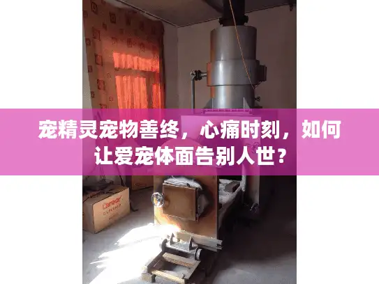 宠精灵宠物善终，心痛时刻，如何让爱宠体面告别人世？