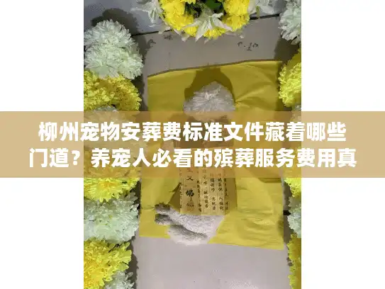 柳州宠物安葬费标准文件藏着哪些门道？养宠人必看的殡葬服务费用真相