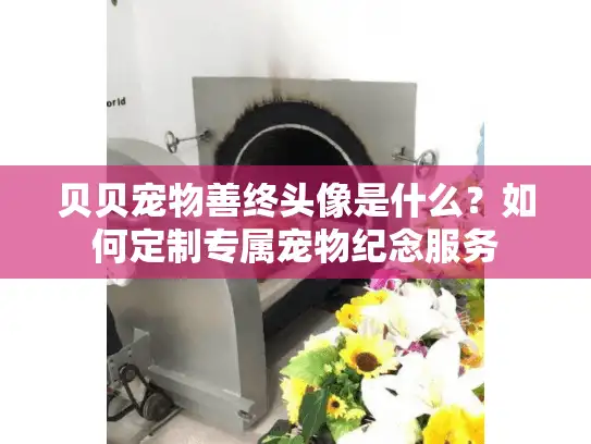 贝贝宠物善终头像是什么？如何定制专属宠物纪念服务