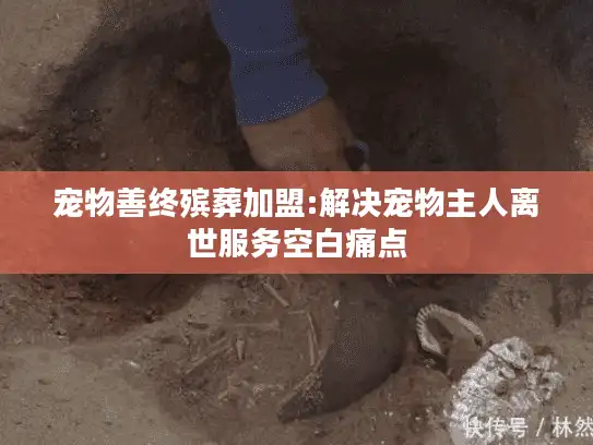 宠物善终殡葬加盟:解决宠物主人离世服务空白痛点