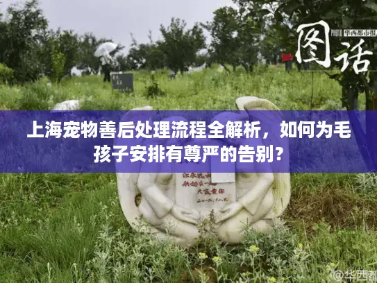上海宠物善后处理流程全解析，如何为毛孩子安排有尊严的告别？