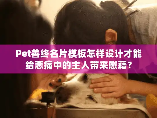 Pet善终名片模板怎样设计才能给悲痛中的主人带来慰藉？