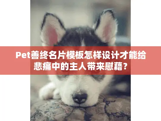 Pet善终名片模板怎样设计才能给悲痛中的主人带来慰藉？