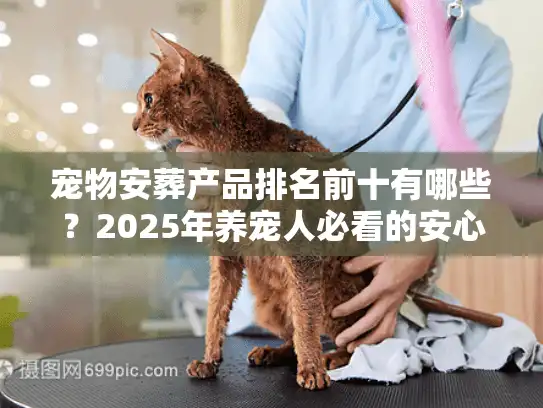 宠物安葬产品排名前十有哪些？2025年养宠人必看的安心清单