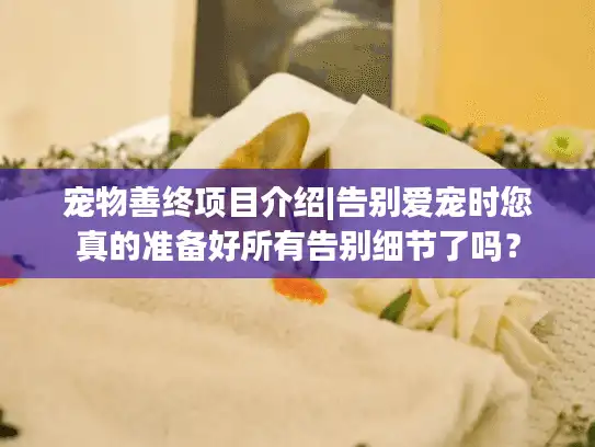 宠物善终项目介绍|告别爱宠时您真的准备好所有告别细节了吗？